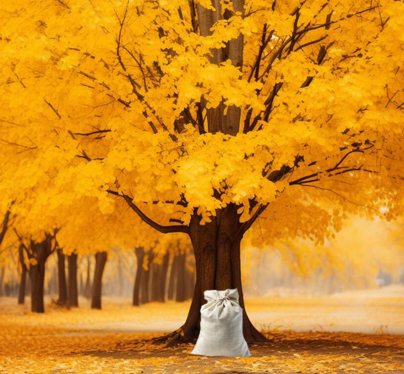 Autumn tree - white sack copy